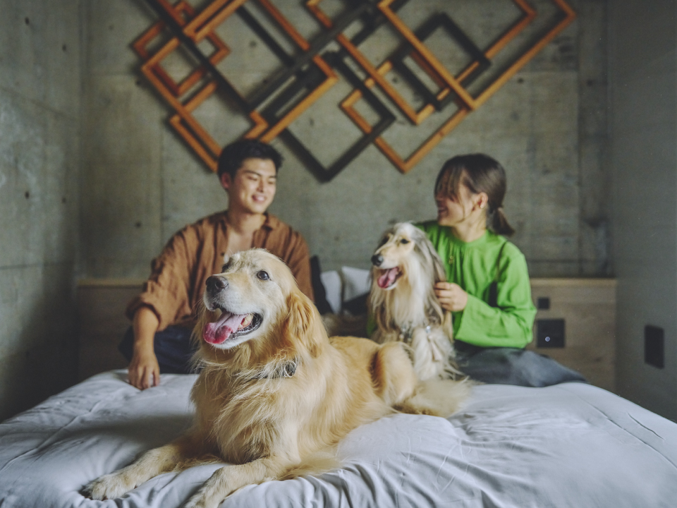 愛犬と泊まれる静岡市丸子のホテル 1HOTEL