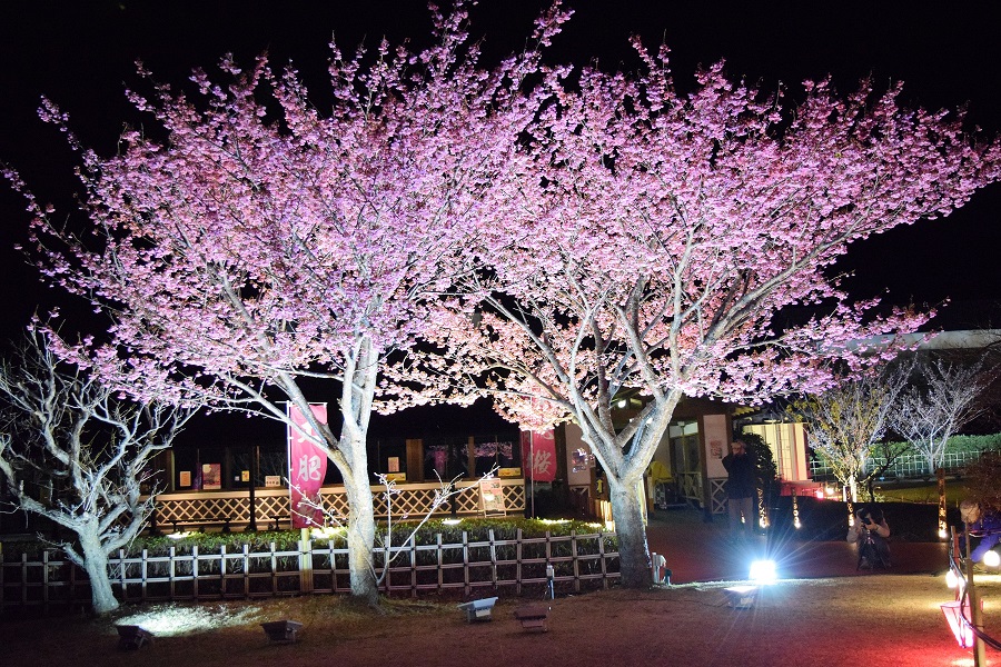 土肥金山（入場受付） - 2