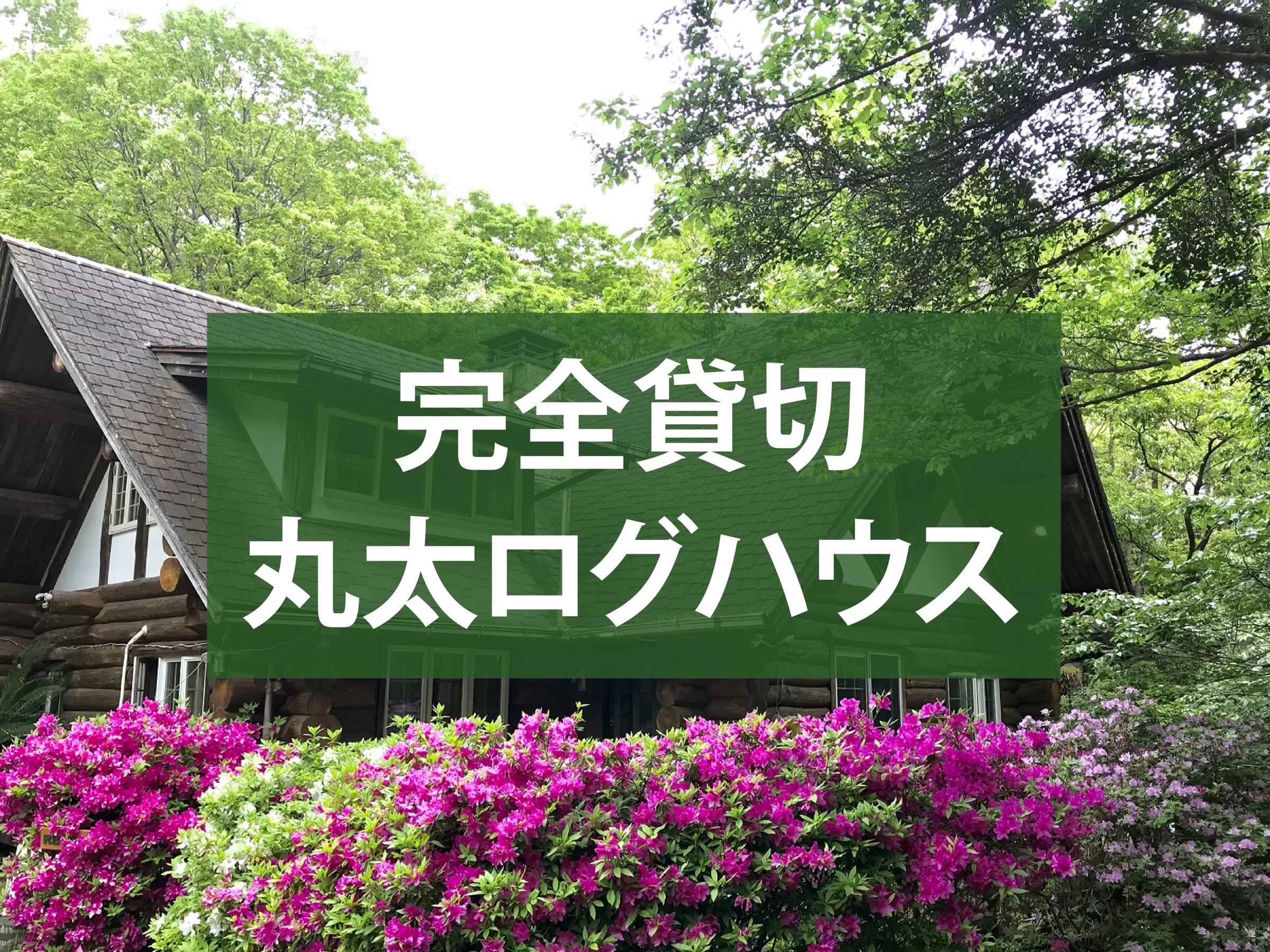森林道楽 - 2