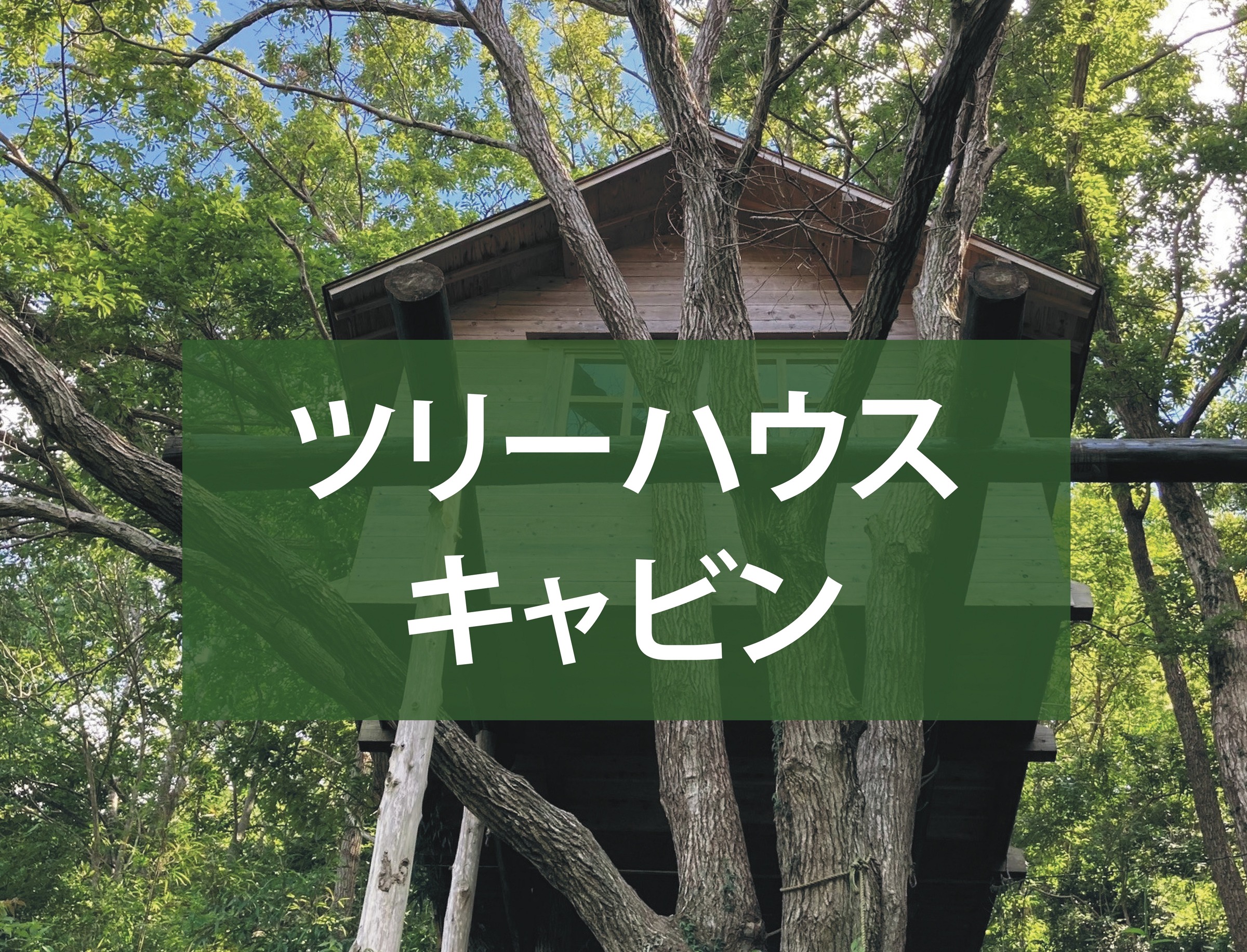 森林道楽 - 3