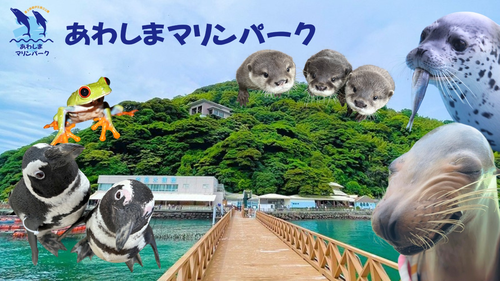 あわしまマリンパーク - 1